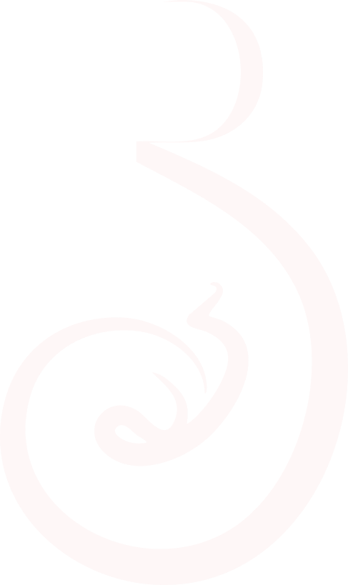 Logo Pure Womb visual