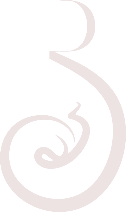 Logo Pure Womb